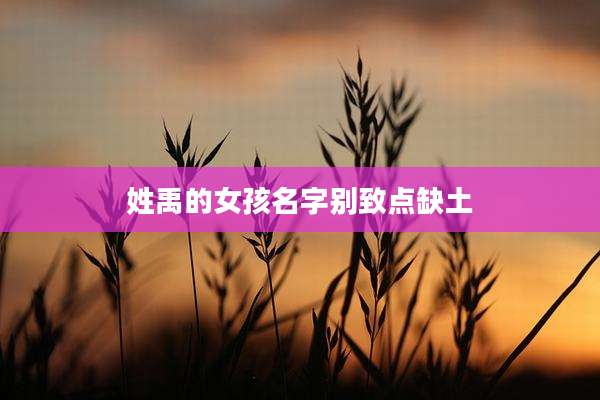 姓禹的女孩名字别致点缺土