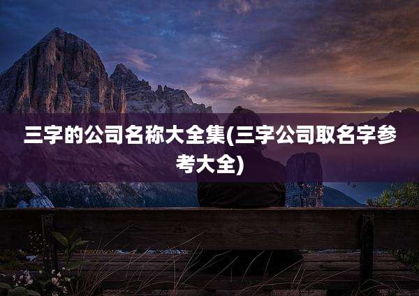三字的公司名称大全集(三字公司取名字参考大全)