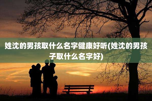 姓沈的男孩取什么名字健康好听(姓沈的男孩子取什么名字好)
