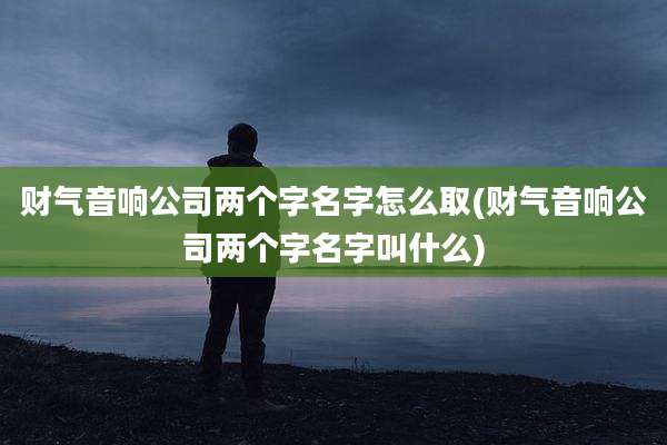 财气音响公司两个字名字怎么取(财气音响公司两个字名字叫什么)