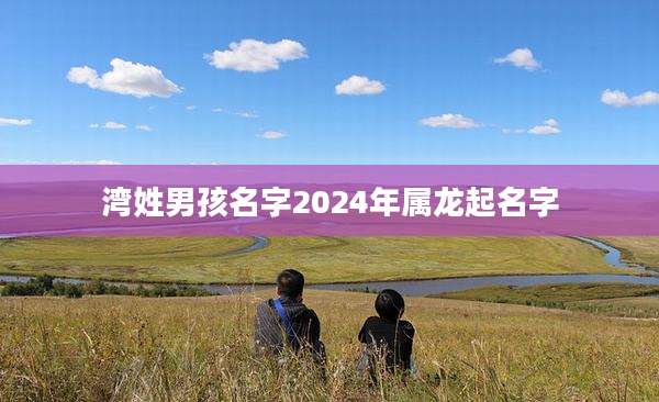 湾姓男孩名字2024年属龙起名字