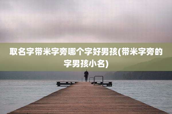 取名字带米字旁哪个字好男孩(带米字旁的字男孩小名)
