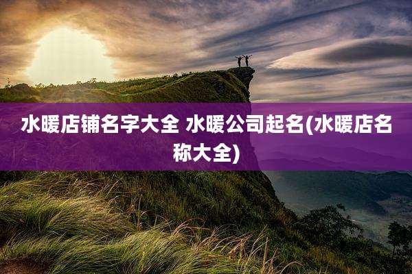 水暖店铺名字大全 水暖公司起名(水暖店名称大全)