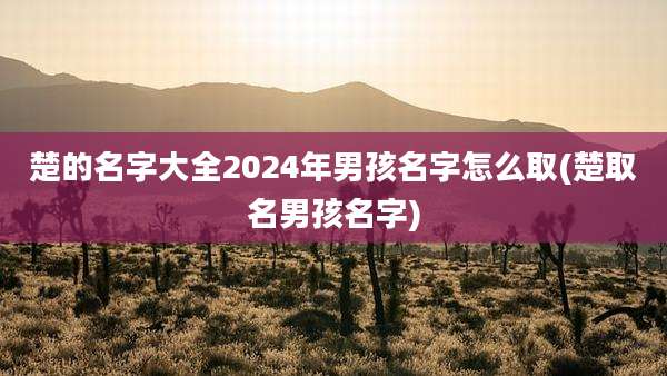 楚的名字大全2024年男孩名字怎么取(楚取名男孩名字)
