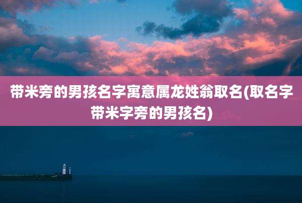 带米旁的男孩名字寓意属龙姓翁取名(取名字带米字旁的男孩名)