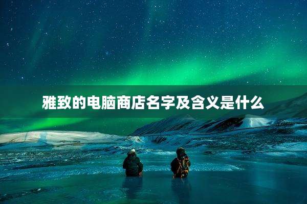 雅致的电脑商店名字及含义是什么