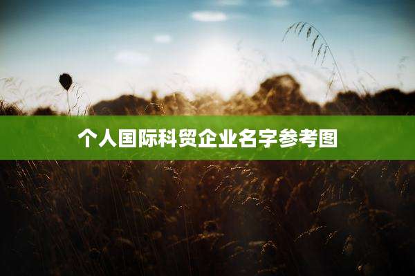 个人国际科贸企业名字参考图