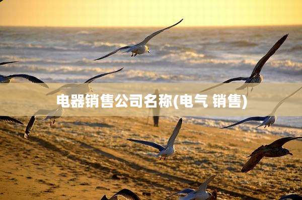 电器销售公司名称(电气 销售)