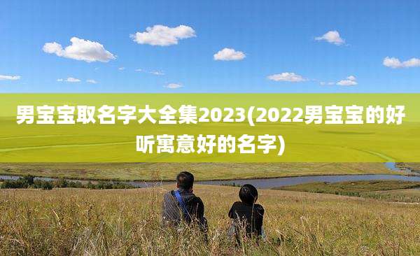 男宝宝取名字大全集2023(2022男宝宝的好听寓意好的名字)
