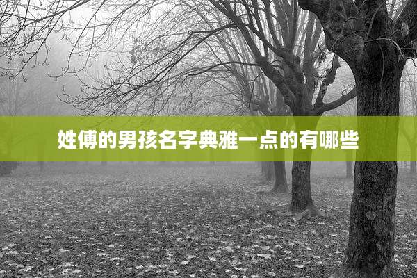 姓傅的男孩名字典雅一点的有哪些