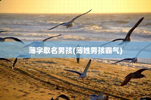 薄字取名男孩(薄姓男孩霸气)