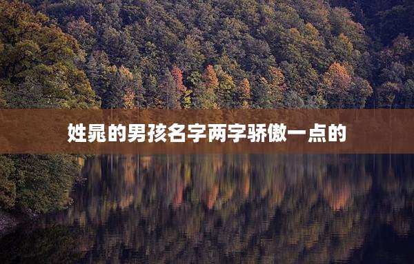 姓晁的男孩名字两字骄傲一点的