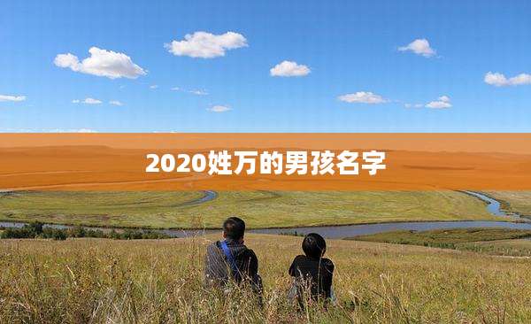 2020姓万的男孩名字