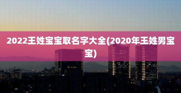 2022王姓宝宝取名字大全(2020年王姓男宝宝)