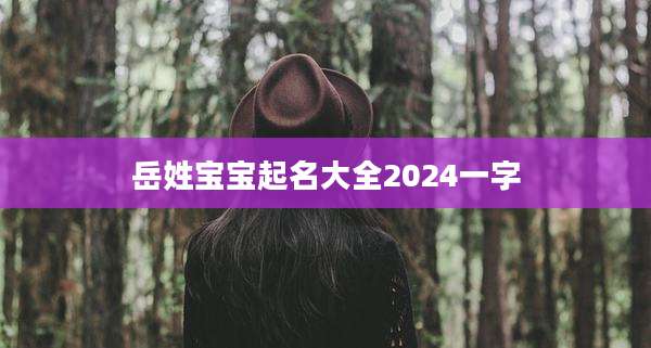 岳姓宝宝起名大全2024一字