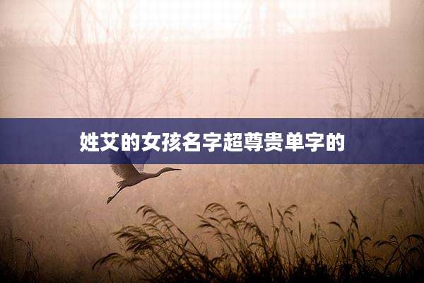 姓艾的女孩名字超尊贵单字的