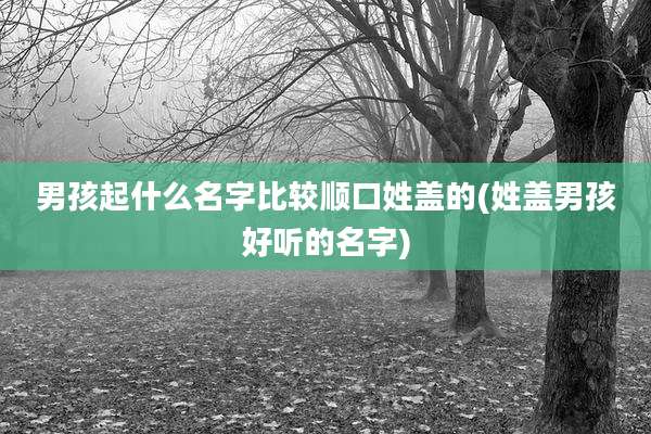 男孩起什么名字比较顺口姓盖的(姓盖男孩好听的名字)