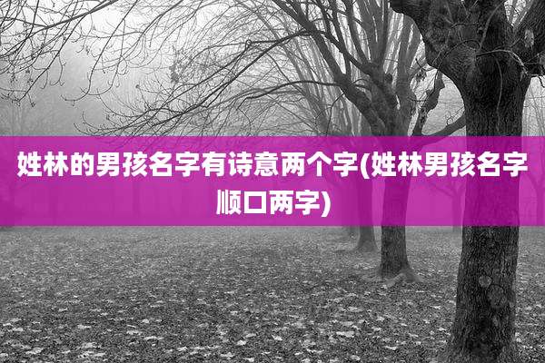 姓林的男孩名字有诗意两个字(姓林男孩名字顺口两字)