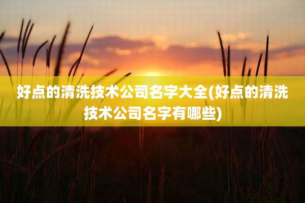 好点的清洗技术公司名字大全(好点的清洗技术公司名字有哪些)