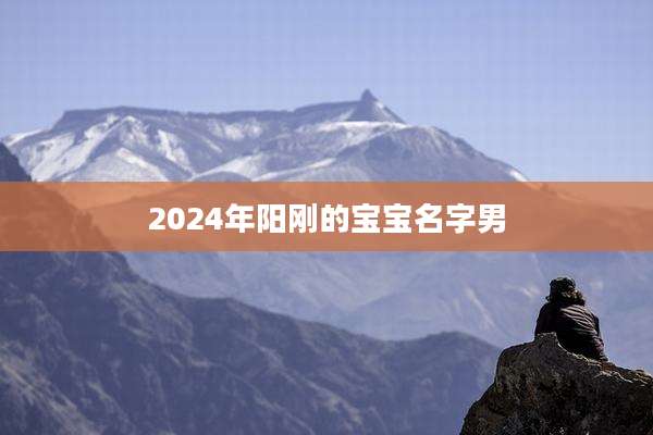 2024年阳刚的宝宝名字男