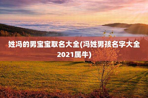 姓冯的男宝宝取名大全(冯姓男孩名字大全2021属牛)