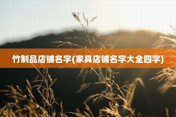 竹制品店铺名字(家具店铺名字大全四字)