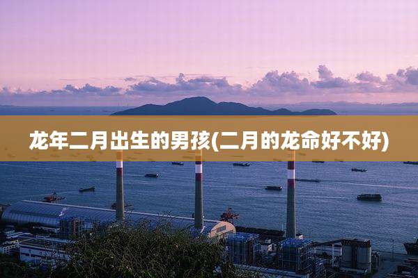 龙年二月出生的男孩(二月的龙命好不好)