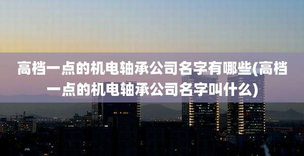 高档一点的机电轴承公司名字有哪些(高档一点的机电轴承公司名字叫什么)
