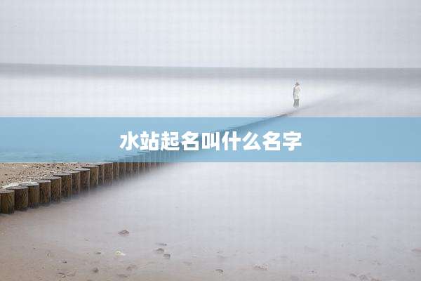 水站起名叫什么名字
