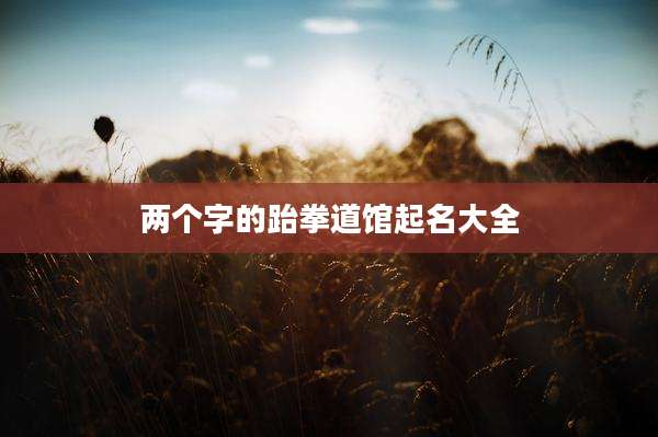 两个字的跆拳道馆起名大全