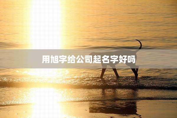 用旭字给公司起名字好吗