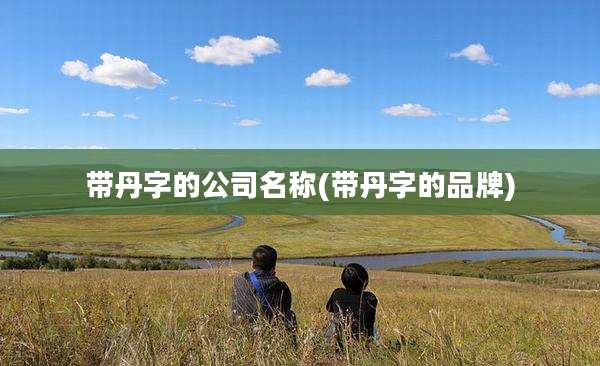 带丹字的公司名称(带丹字的品牌)