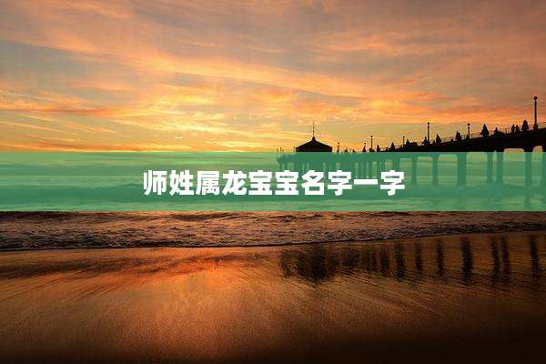 师姓属龙宝宝名字一字
