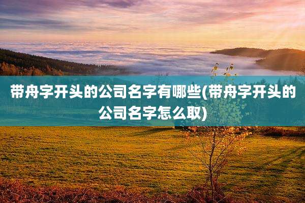 带舟字开头的公司名字有哪些(带舟字开头的公司名字怎么取)