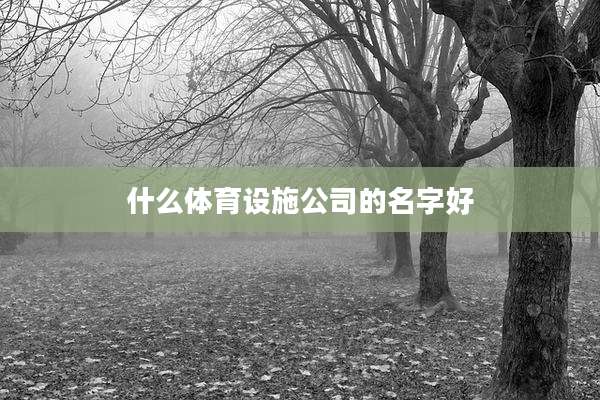 什么体育设施公司的名字好