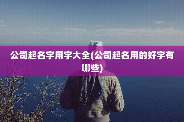 公司起名字用字大全(公司起名用的好字有哪些)