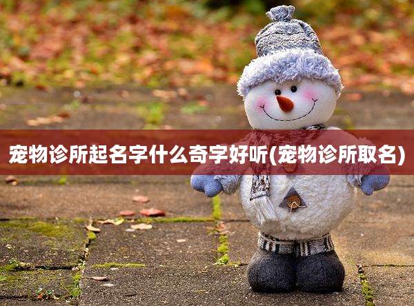 宠物诊所起名字什么奇字好听(宠物诊所取名)