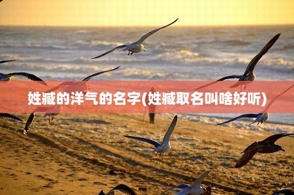 姓臧的洋气的名字(姓臧取名叫啥好听)