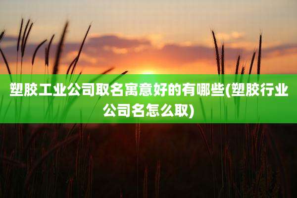 塑胶工业公司取名寓意好的有哪些(塑胶行业公司名怎么取)