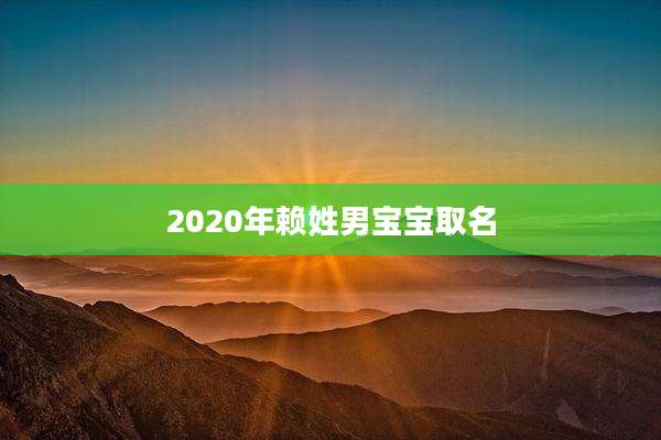 2020年赖姓男宝宝取名
