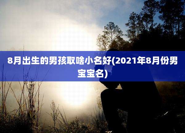 8月出生的男孩取啥小名好(2021年8月份男宝宝名)
