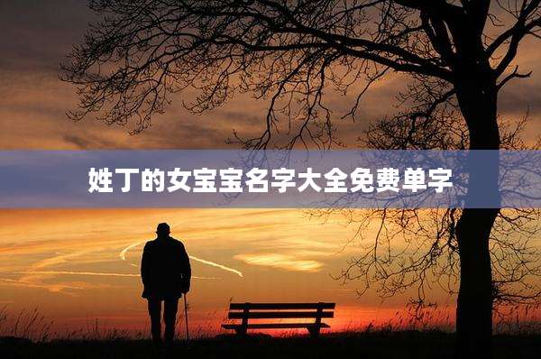 姓丁的女宝宝名字大全免费单字