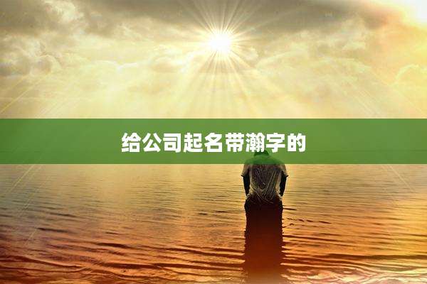 给公司起名带瀚字的