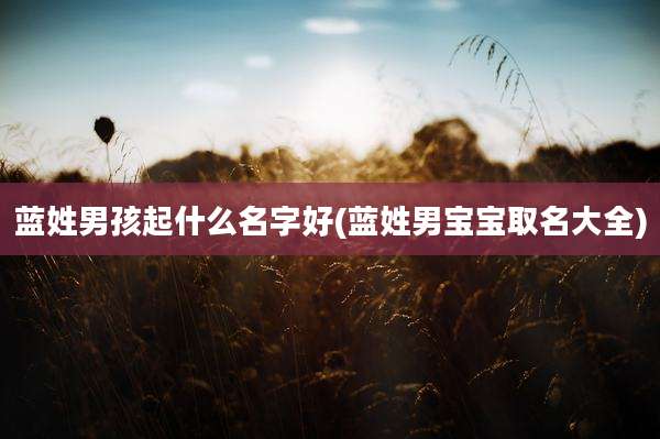蓝姓男孩起什么名字好(蓝姓男宝宝取名大全)