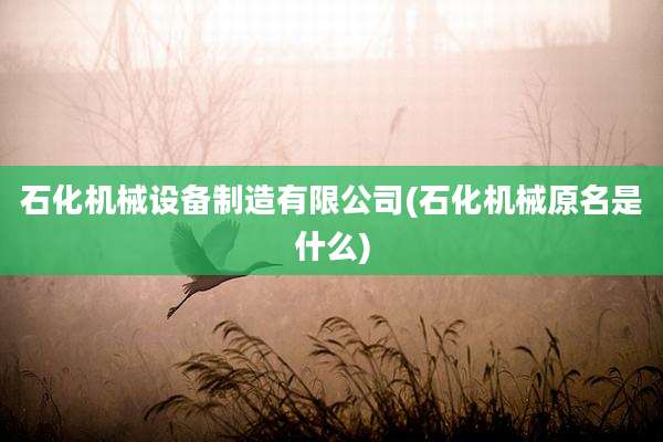 石化机械设备制造有限公司(石化机械原名是什么)