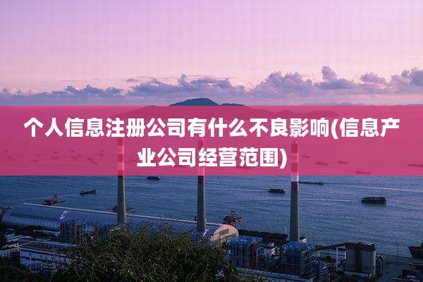 个人信息注册公司有什么不良影响(信息产业公司经营范围)