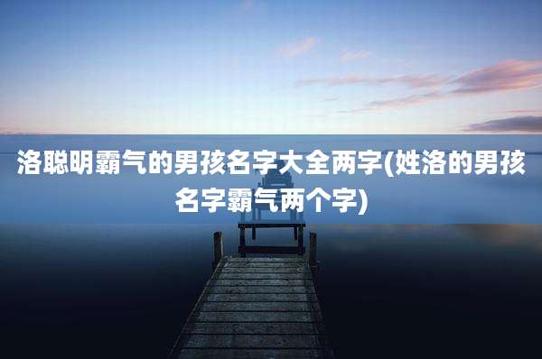 洛聪明霸气的男孩名字大全两字(姓洛的男孩名字霸气两个字)