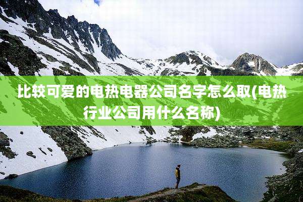 比较可爱的电热电器公司名字怎么取(电热行业公司用什么名称)