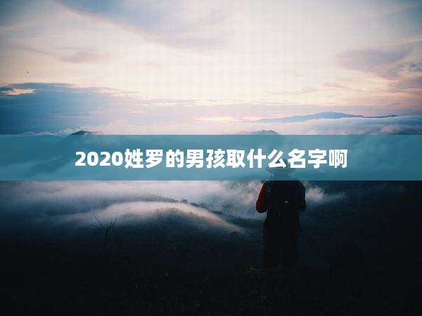 2020姓罗的男孩取什么名字啊