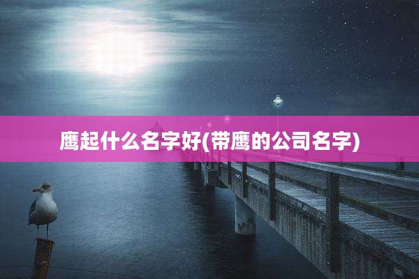 鹰起什么名字好(带鹰的公司名字)